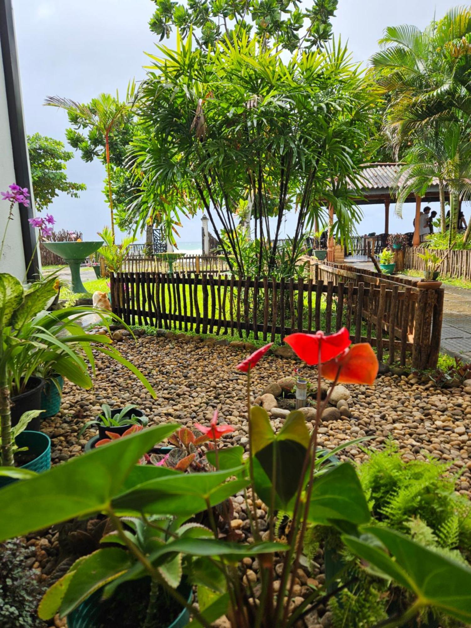 Balance Beach Resort Dikwella Luaran gambar