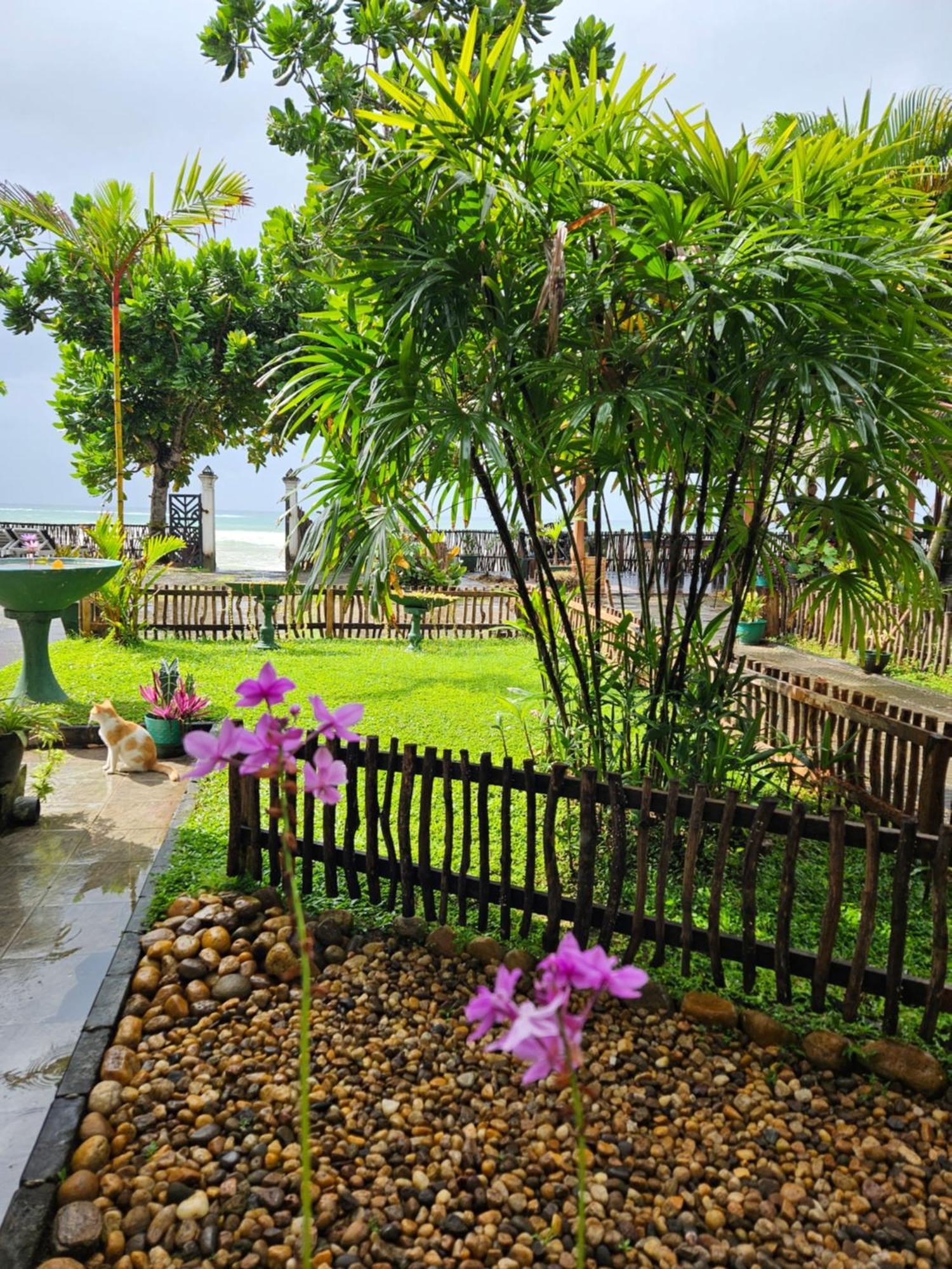 Balance Beach Resort Dikwella Luaran gambar