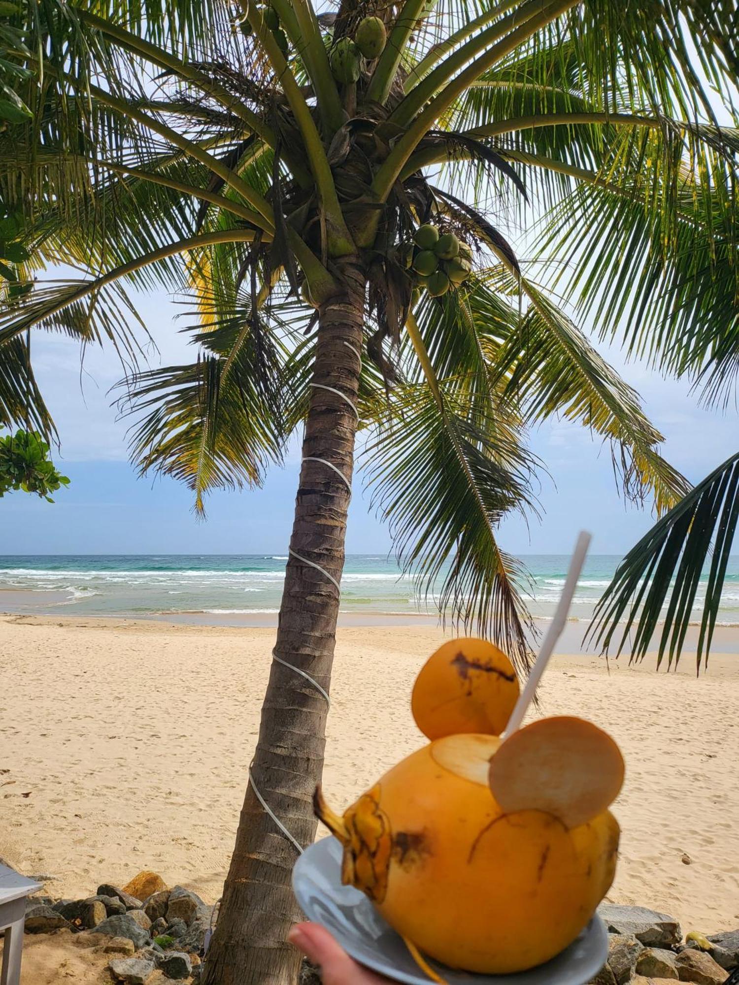 Balance Beach Resort Dikwella Luaran gambar