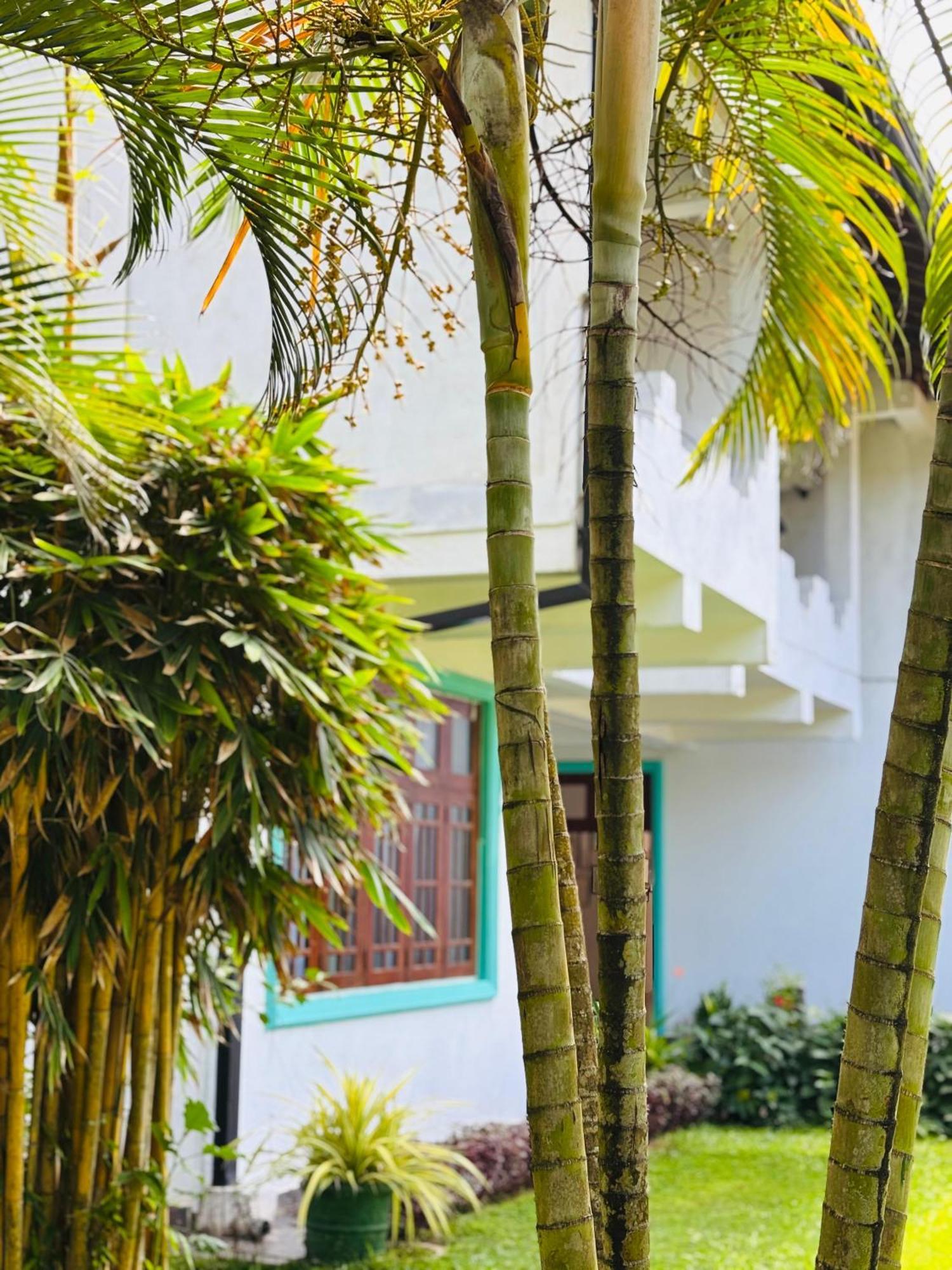 Balance Beach Resort Dikwella Luaran gambar