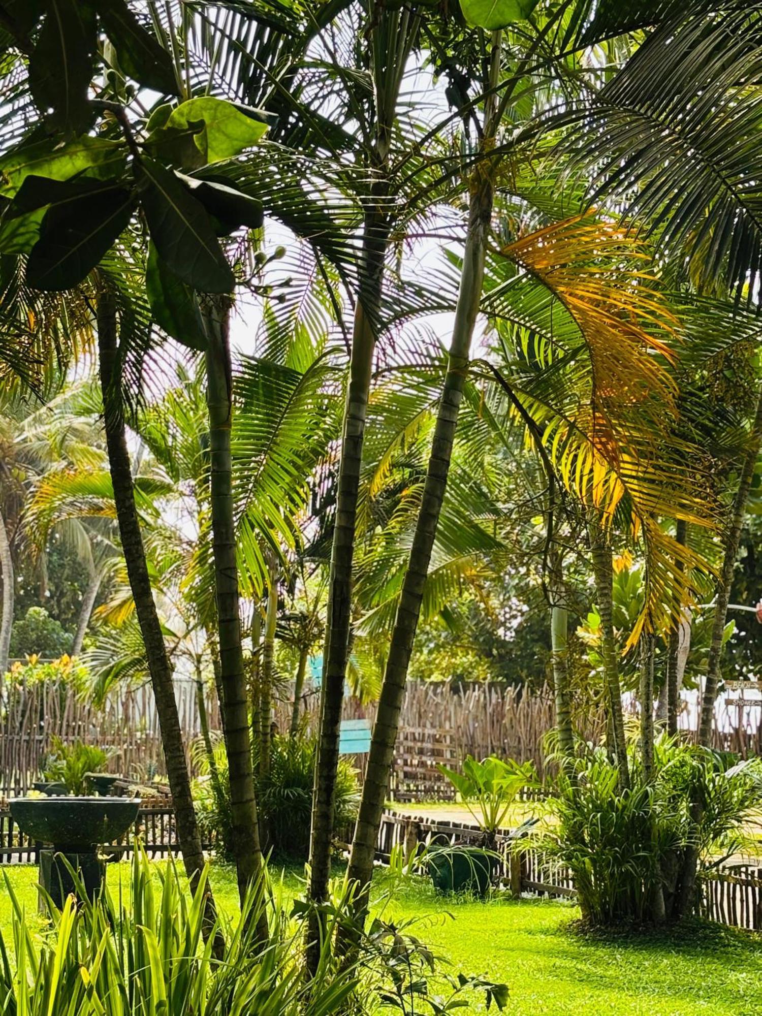 Balance Beach Resort Dikwella Luaran gambar